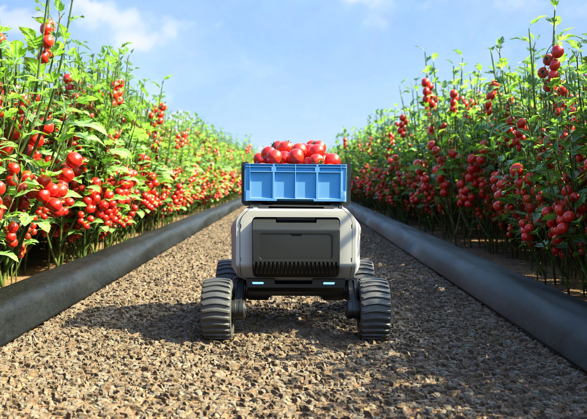 industrie 5.0 : adaptabilité, créativité et flexibilité