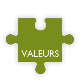 Valeurs CRVI